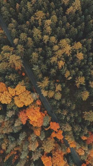 蜘蛛池软件权重截图1