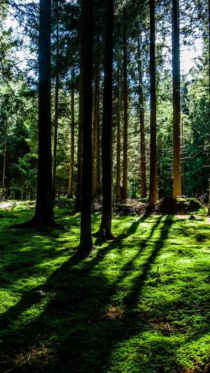 网站建设网截图1