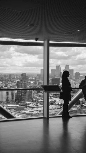 最好的蜘蛛池是哪家截图2