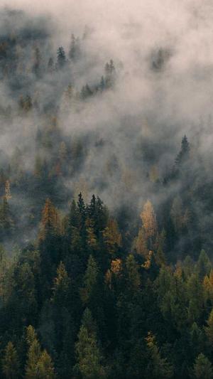 蜘蛛池程序外推截图4