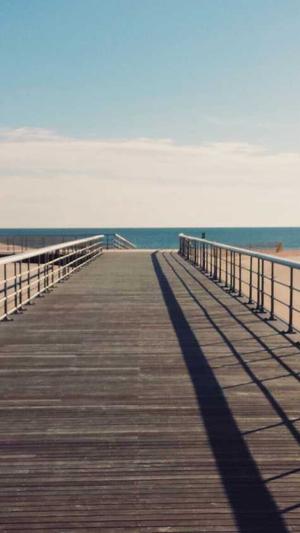 青岛网站seo诊断工具截图4