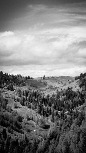 泛目录什么意思截图3