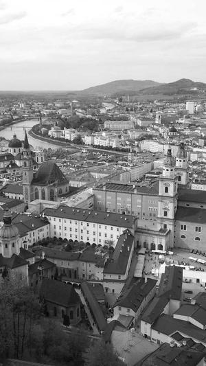 蜘蛛池免费版截图1