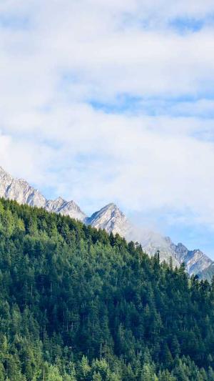 泛目录推广截图1