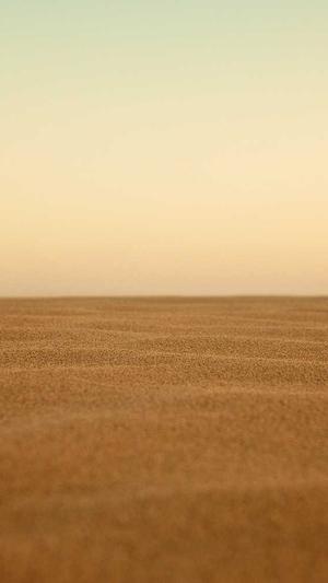 蜘蛛池提交端截图1