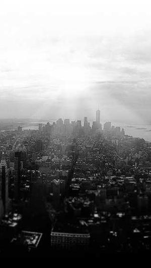 seo实用工具截图1