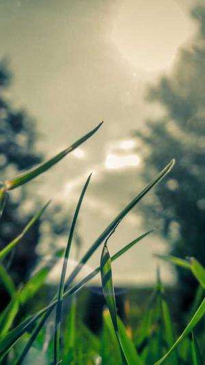 东营网站建设截图2