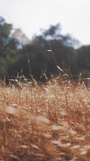 湖南蜘蛛池出租包月截图2