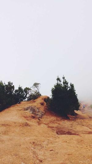 seo点击工具系统源码截图3