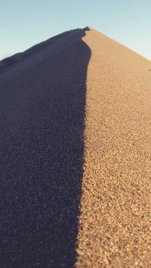 泛目录下载站模板截图1