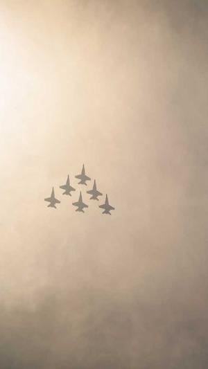 蜘蛛池1千个域名截图4