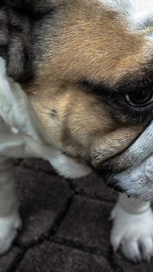 小旋风蜘蛛池怎么样用截图4