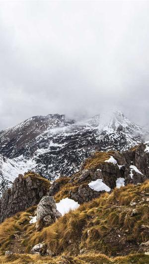 seo排名工具刷网页截图1