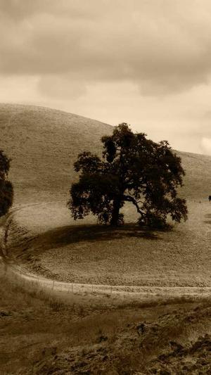 泛目录站群灰色词代做截图3