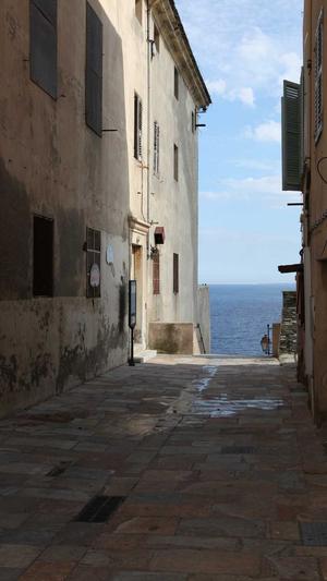 北京神马蜘蛛池租用截图1