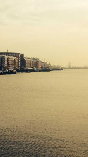 蜘蛛池程序源码截图3