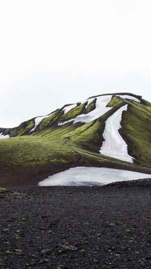 蜘蛛池出租 vikiseo截图3