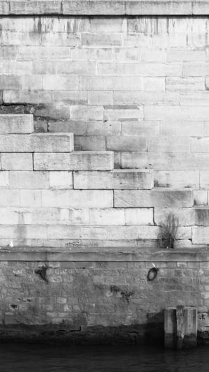 蜘蛛池优化权重截图4