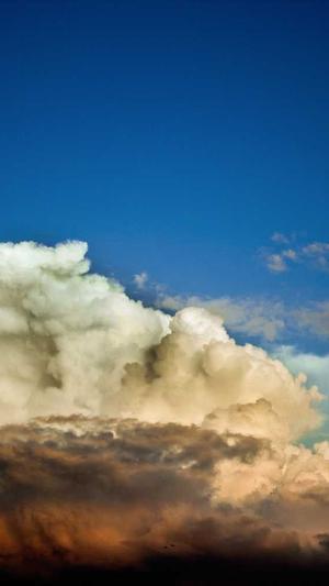 武汉网站建设截图5