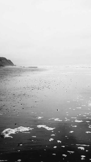 好看的网站建设截图1