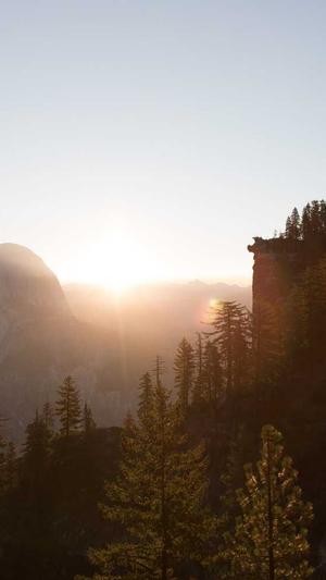 百度权重蜘蛛池出租截图4