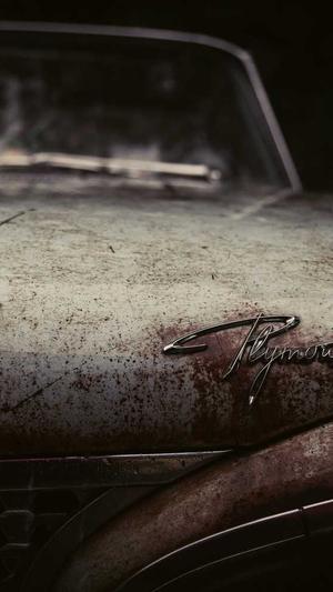 泉州网站建设截图2