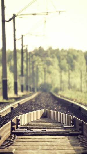 北京神马蜘蛛池租用截图3