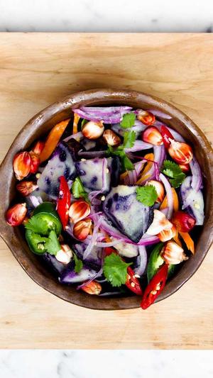 蜘蛛池租用选哪家截图3