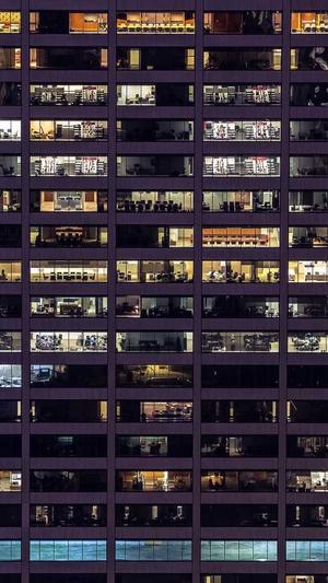 蜘蛛池 原理截图3