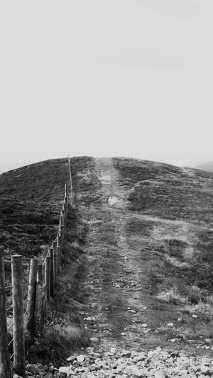 西安seo优化工具截图5