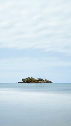 龙凤蜘蛛池出租截图4