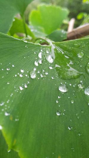 seo优化工具免费完整版截图3