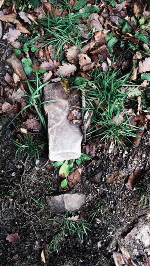 郴州网站seo截图2