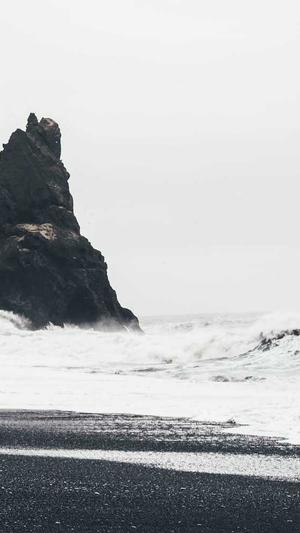 seo优化服务公司截图2