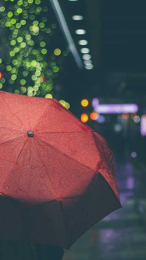 seo快速推广截图4