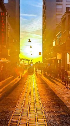 手动搭建蜘蛛池视频截图2