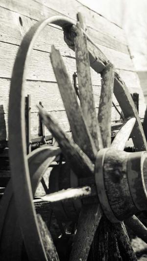 seo优化seo教程seo工具截图2