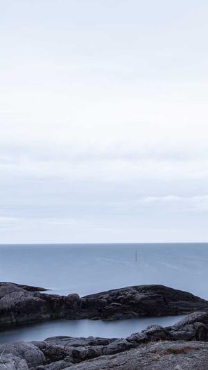 云南蜘蛛池租用服务截图3