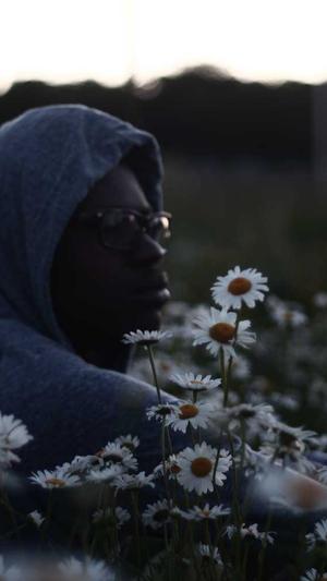 蜘蛛池价格全定zjkwlgs截图2