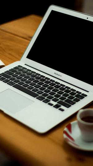 北京神马蜘蛛池租用截图4