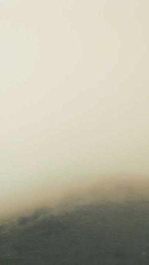 阿里蜘蛛池模板截图4