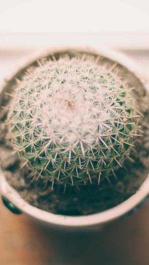 深圳公司seo优化截图4