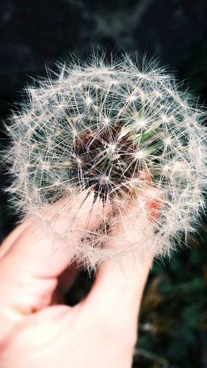 兰州网络seo工具截图3