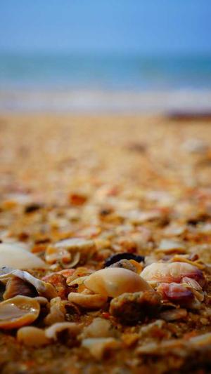 网站排名seo优化截图1