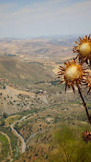 seo蜘蛛池真的有用吗截图4