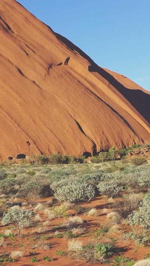 网站查询工具seo截图4