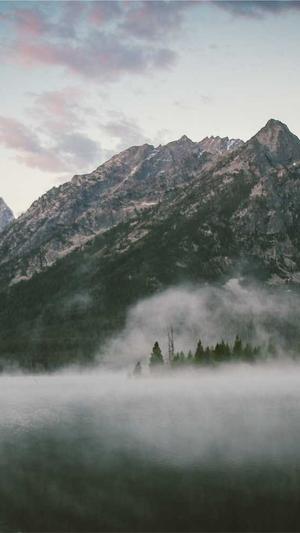 头条蜘蛛池租用截图4