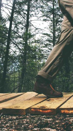 seo深度优化工具截图4