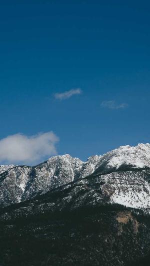 站长工具 seo截图1