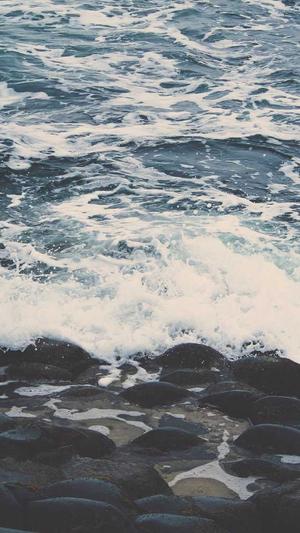 站长工具seo 优化截图1